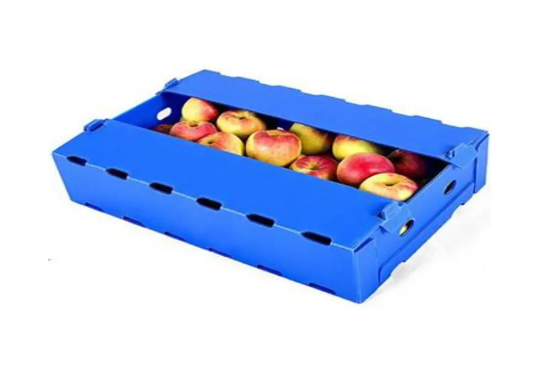 PP FRUIT BOXES